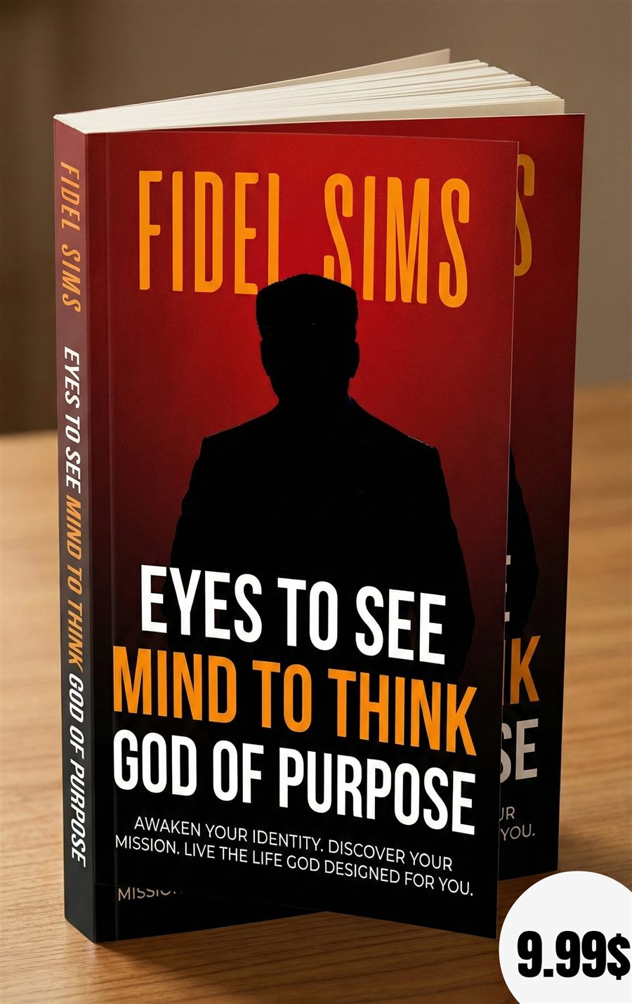 Eye to See, Mind to Think, God of Purpose book cover by Fidel Sims